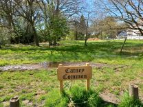 Catney Common Catney Common